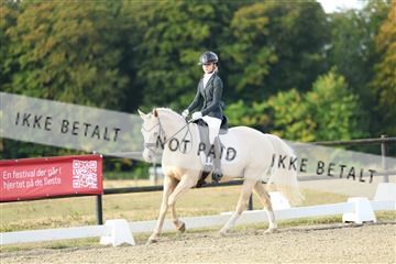 181894_mtp_04_R62_3104.JPG