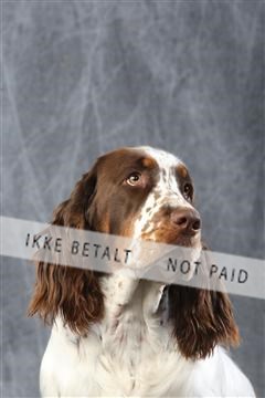 129608_le_ 01_0528.JPG