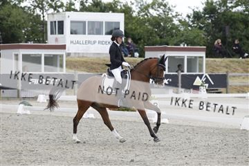 166078_rhj_01__J7R3676.JPG