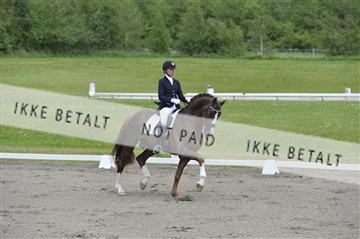 140040_abo_01__AB16912.JPG