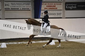 140040_abo_01__AB17975.JPG