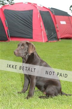 130370_tl_01_IMG_6991.JPG