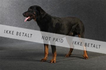 132082_le_ 01_IMG_0807.JPG