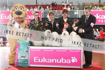 6068_ma_05_IMG_5561.JPG