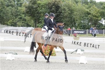 166078_rhj_01__J7R2306.JPG