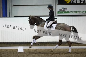 141472_abo_01__AB15520.JPG