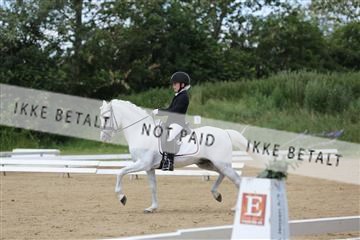 156196_nn_01_IMG_6096.JPG