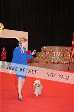 126827_tl_04_IMG_9799.JPG