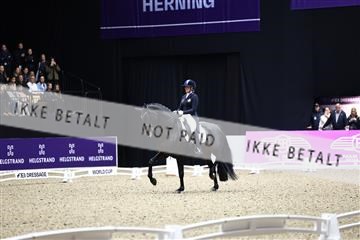 182194_avh_06_3278.JPG