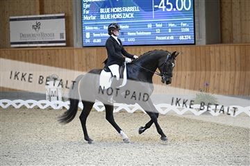 182176_kbb_01_Z092660.JPG