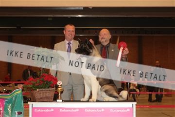 124188 _tl_02_IMG_9331.JPG