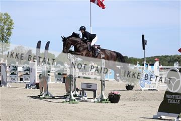 181436_avh_02_4015.JPG