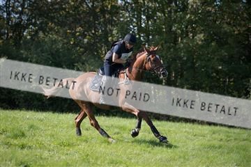 2019 Copenhagen Eventing Philippa Magnusson Amazing Steel 163761_KNF_01_KEE_185.jpg