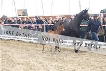 174363_kbb_01_R6II8051.JPG