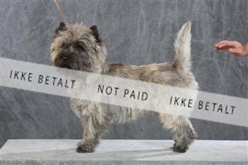 130054_le_ 03_0049.JPG