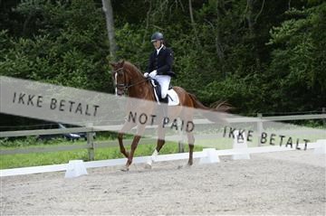 139898_ms_01__MS28168.JPG