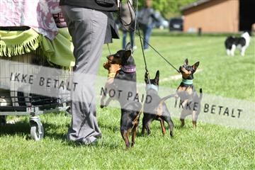 134871_ms_02_IMG_3216.JPG