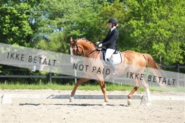 168732_mtp_01_3M5A8077.JPG