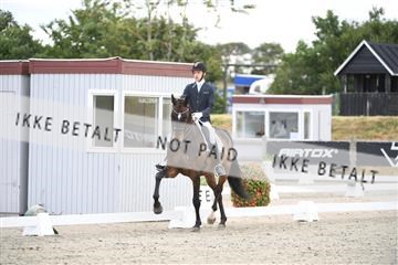 166078_kuo_02_D05_7960.JPG