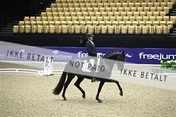 182194_kbb_01_Z095114.JPG