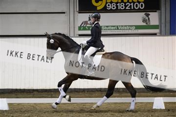 141472_abo_01__AB15445.JPG