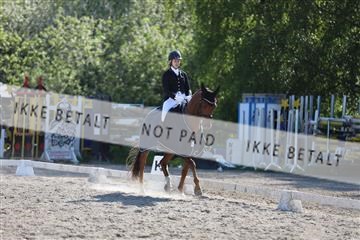 168732_mtp_01_3M5A8556.JPG