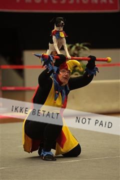 6068_sme_04_IMG_3495.JPG