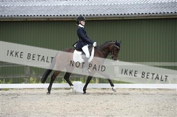 139898_ms_01__MS27614.JPG