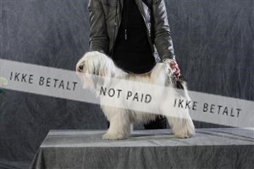 128239_le_kort_ 01_0074.JPG