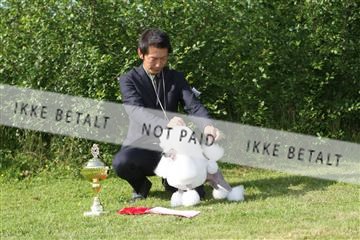 130370_se_02_IMG_6732.JPG