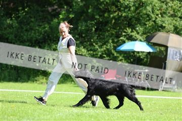 181564_rin_01_R62_7556.JPG