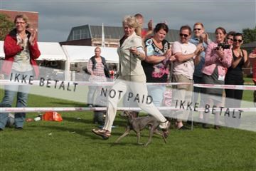 130370_tl_01_IMG_7522.JPG
