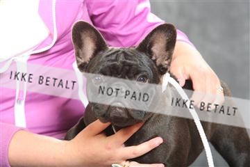 130054_le_ 01_0129.JPG