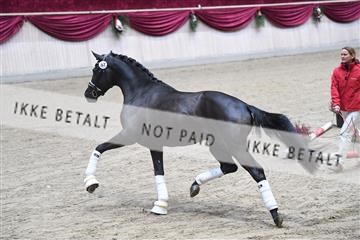 164516_kuo_01_D05_1212.JPG