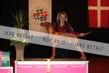 126827_tl_02_IMG_2973.JPG