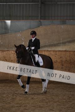 139206_kl_1_8M1Q5421.JPG