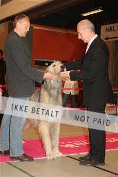 124188 _tl_02_IMG_9726.JPG