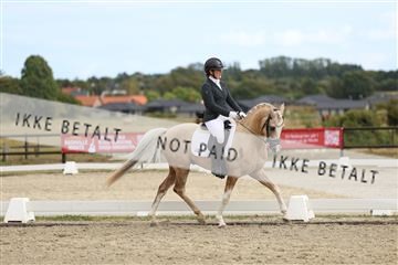 181894_mtp_03_R62_2711.JPG
