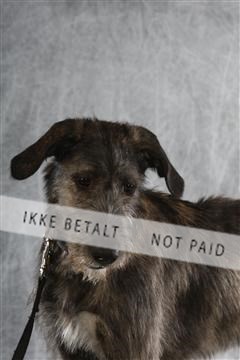 129608_le_ 02_0126.JPG