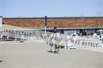 181332_kbb_01_6II4529.JPG