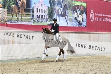 182241_kbb_01_Z093485.JPG