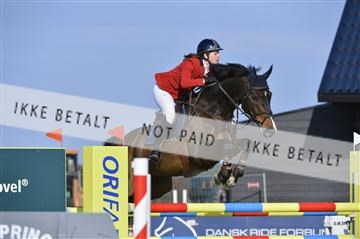 139644_abo_02__AB14800.JPG