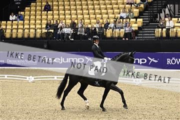 182194_kbb_03_Z091190.JPG