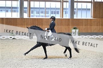 182176_kbb_01_Z094278.JPG