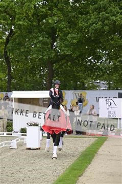 181449_kbb_04_Z096084.JPG