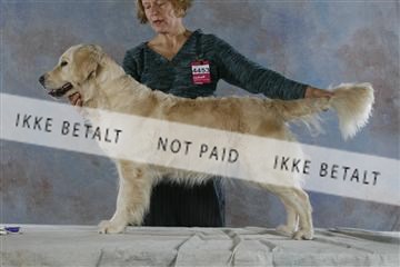 5493_sme _03__MG_9832.JPG