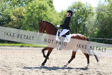 168732_mtp_01_3M5A6802.JPG