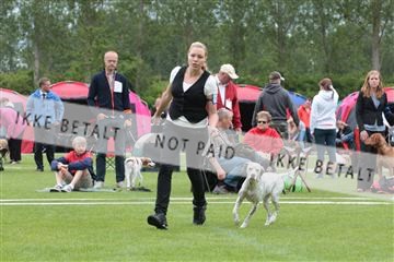 135379_tl_02_IMG_9225.JPG