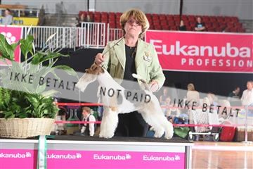 6068_ma_07_IMG_6953.JPG