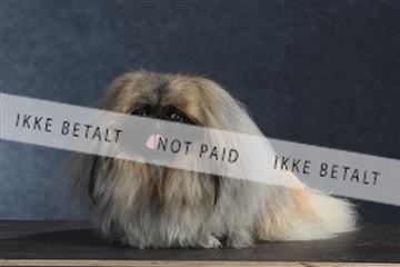 132082_le_ 01_IMG_1567.JPG